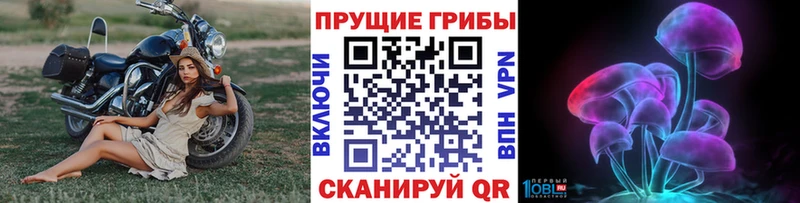 Галлюциногенные грибы прущие грибы  Купить закладки  Борзя 